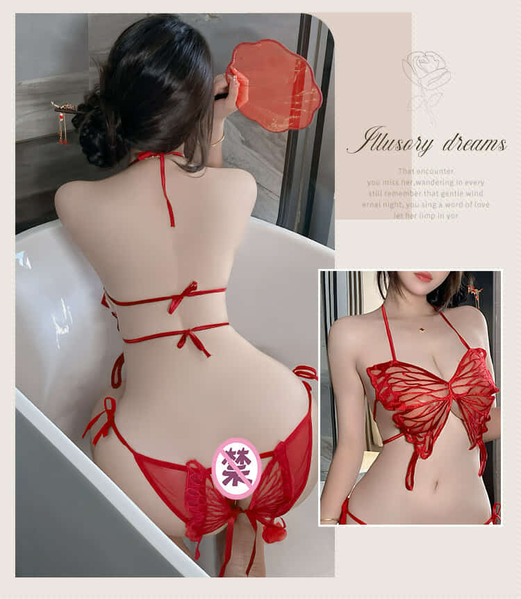 Sensual Butterfly Style Shaped Embroidery Fairy Lingerie For Fine Women NW-0725