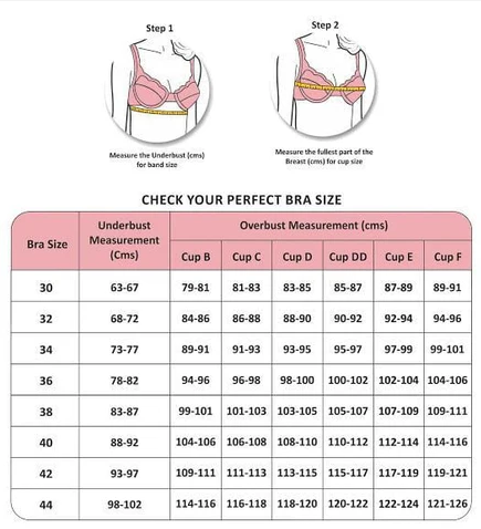 Premium C Cup Wired Bra 012